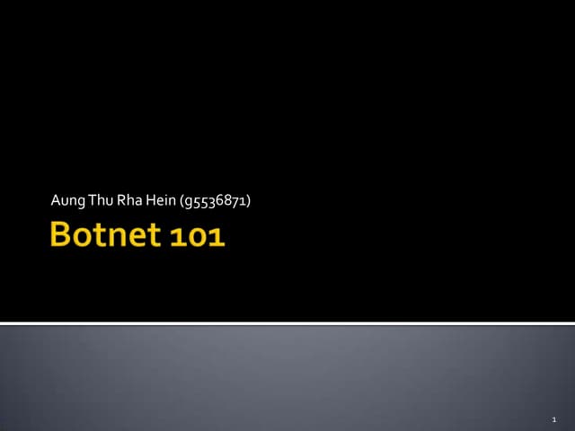 Botnets 101