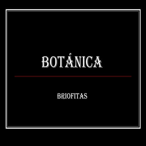 Botánica