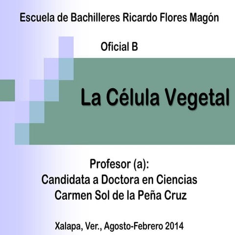 Botánica   la célula vegetal