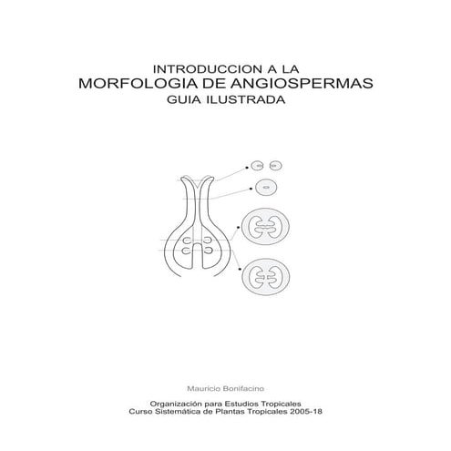 Botánica morfología de angiospermas