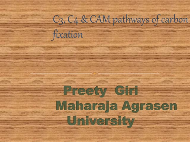 C3,C4 & CAM pathway