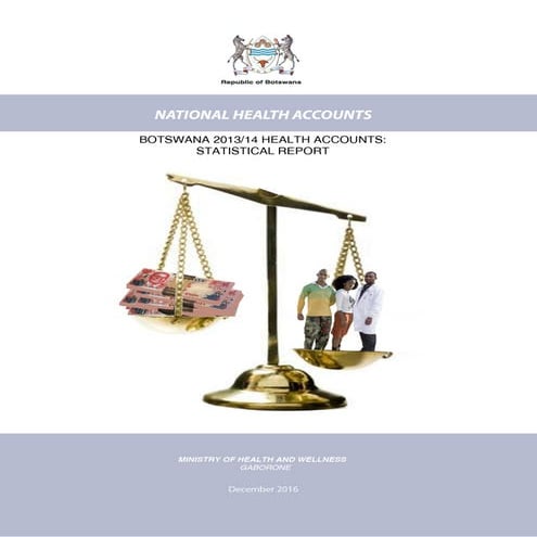 Botswana Health Accounts 2013-2014: Statistical Report | PDF