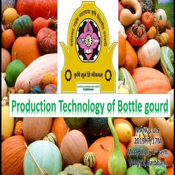 Production Technology of Bottlegourd