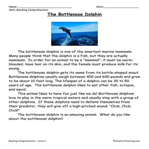 Bottlenose dolphin | PDF