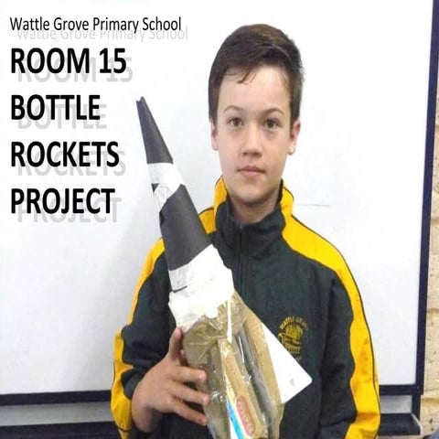 Wattle Grove Primary School - Room 15 Bottle Rockets 2014