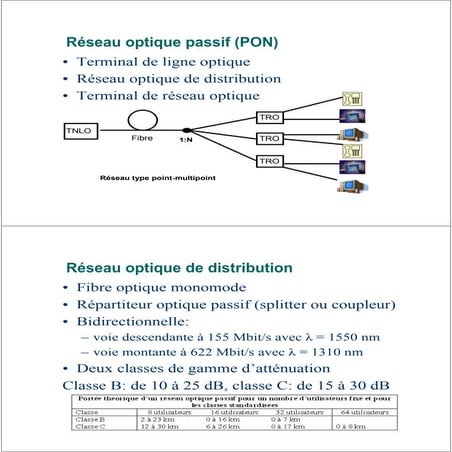 Boucle locale et_reseau_optique_optronique