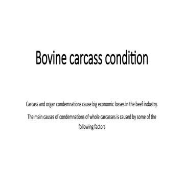 Bovine_carcass_conditions associated.pptx