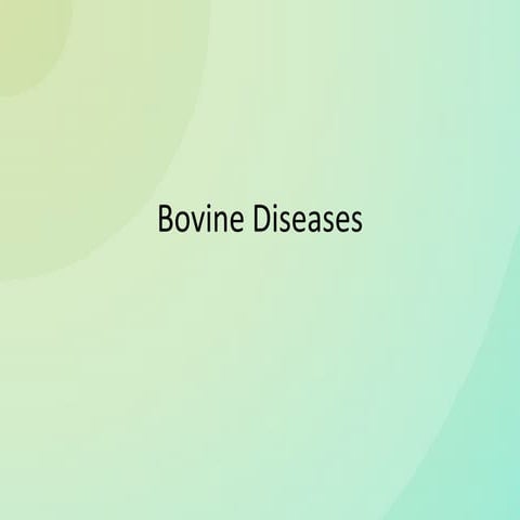 Bovine diseases