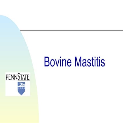 Bovine mastitis