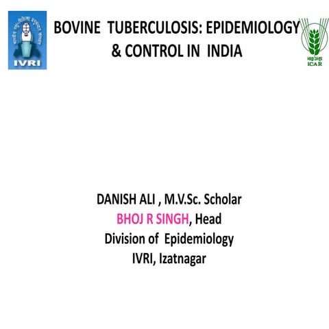 Bovine tuberculosis  epidemiology & control in india