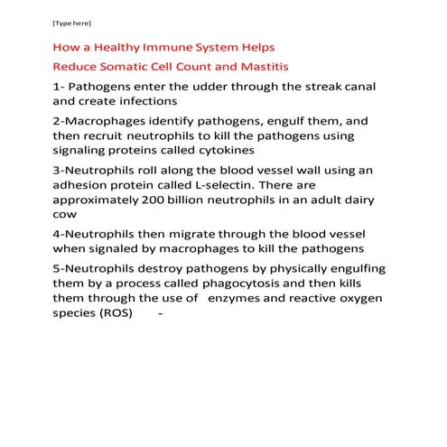 Bovin udder immunity