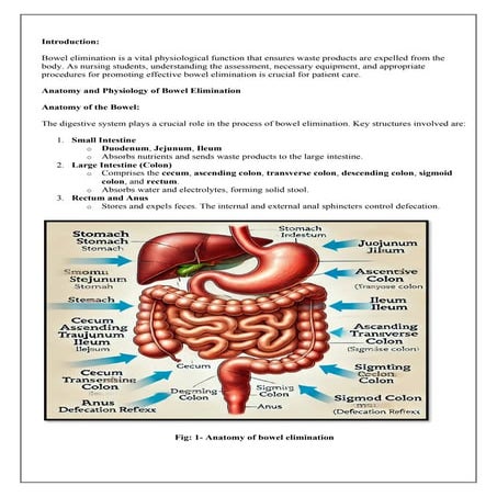 Bowel washing | PPTX