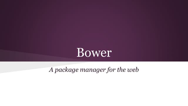 Bower Paketmanager
