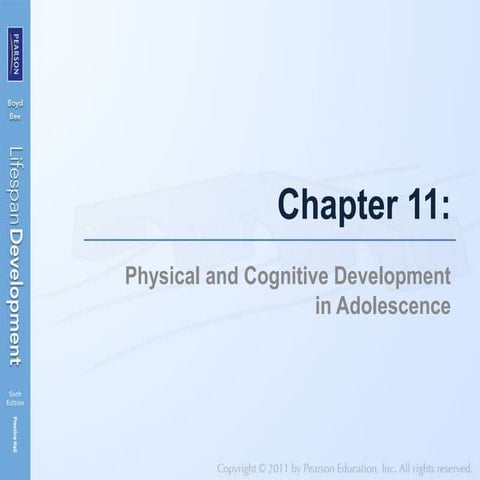 Bee & Boyd, Lifespan Development, Chapter 11