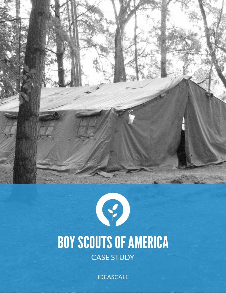 Case study scouts 07 picture