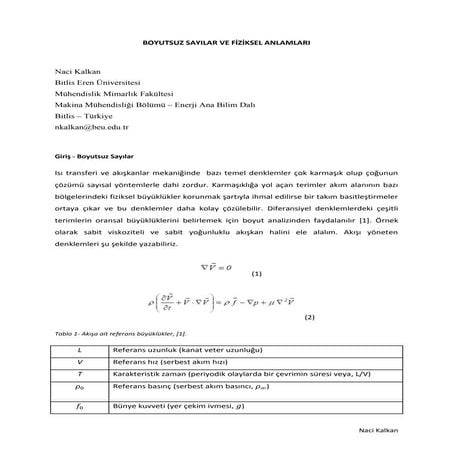 Boyutsuz sayilar ve fiziksel anlamları