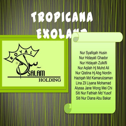 Royal Salam Holdings 