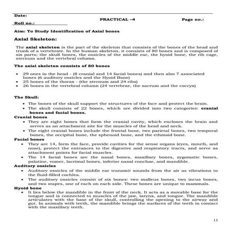 Bones and skeletal system