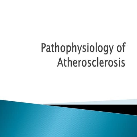 Atherosclerosis Pathophysiology