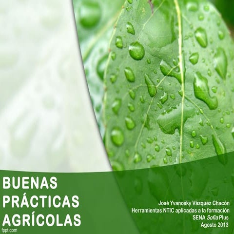 BUENAS PRACTICAS AGRICOLAS