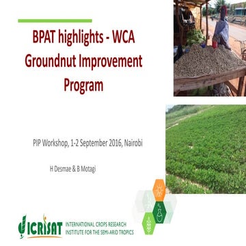 TL III_GG_PIP_BPAT_Groundnut_WCA 