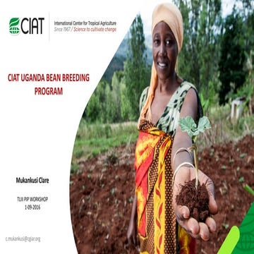 TL III_GG_PIP_BPAT_CIAT_Uganda_Beans