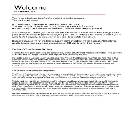  business plan project Man470 