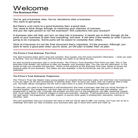 Bp electronic business_plan_workbook_final 2