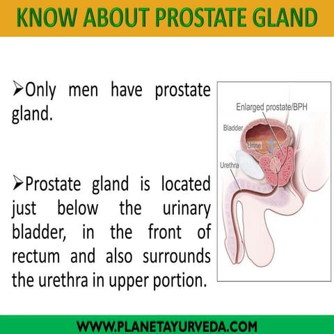 Ayurvedic treatment for enlarged prostate gland | www.planetayurveda.com