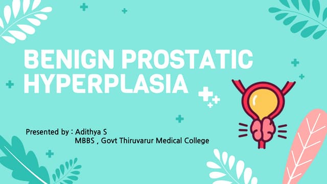 The location of the prostate