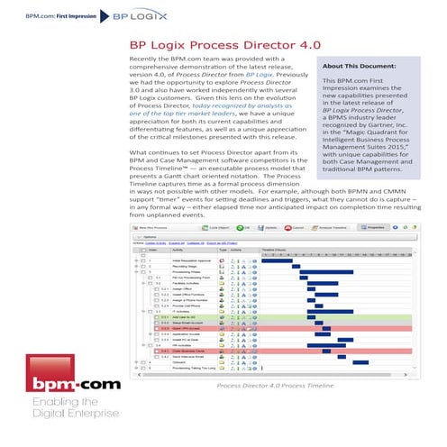 BPM.com First Impression, Process Director 4.0