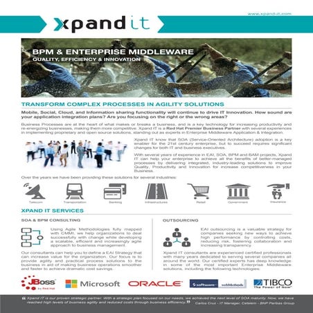 BPM & Enterprise Middleware - Datasheet