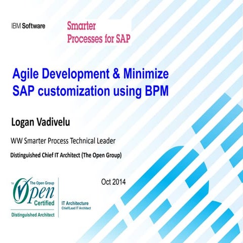 BPM for agile development & minimizing SAP customization