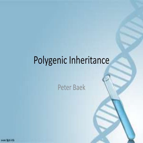 4-Genetics AHL - polygene (by Peter)