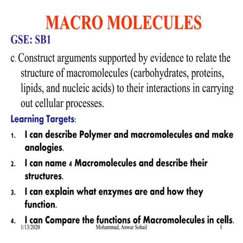 Bpp macro molecules (2)