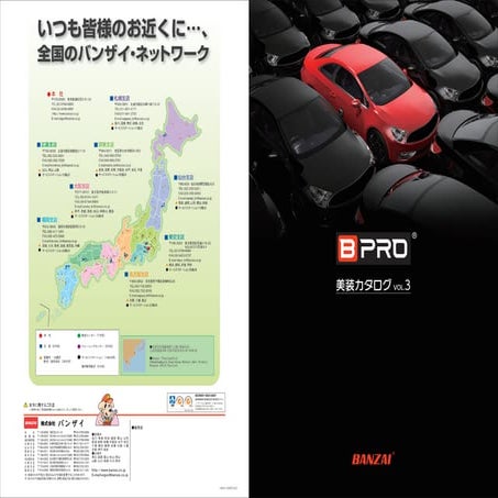 BPRO (1).pdf