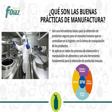 Buenas paracticas de manofactura bpms 01