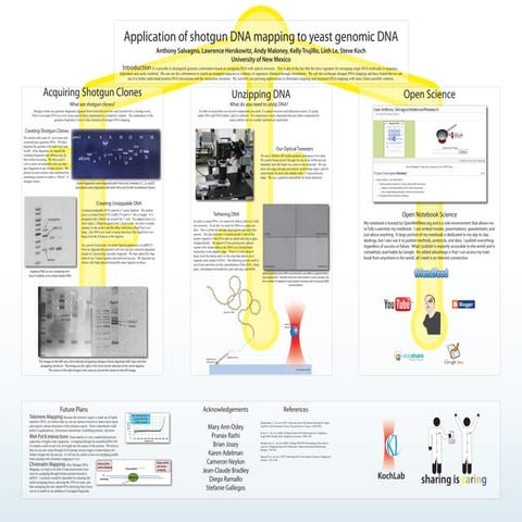 BPS 2010 Poster Presentation: Shotgun DNA Mapping with Yeast