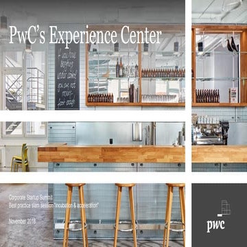 BPS "Incubation and Acceleration"_PwC