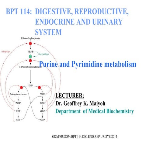 Bpt 114. purine and pyrimidine metabolism