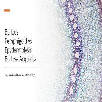 Comprehensive Overview of Bullous Pemphigoid: Pathophysiology ...