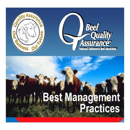 Best Management Practices in Beef | PDF