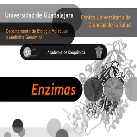Enzimas Bioquímica Generalidades
