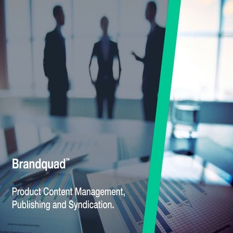 Brandquad presentation