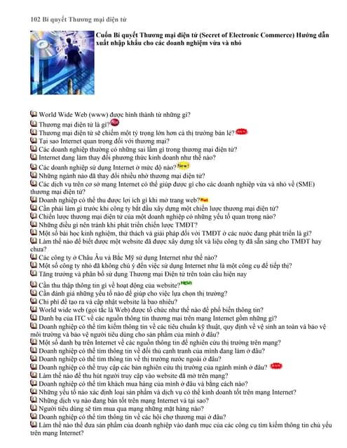 Bí quyết thương mại điện tử (102)