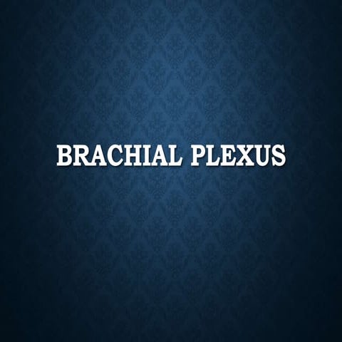 Brachial plexus