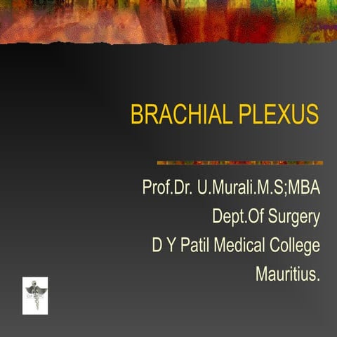 Brachial plexus - Made so Easy