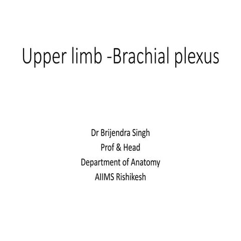 brachial_plexus (1).pdf