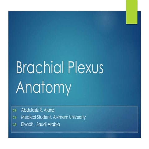 Brachial Plexus Anatomy