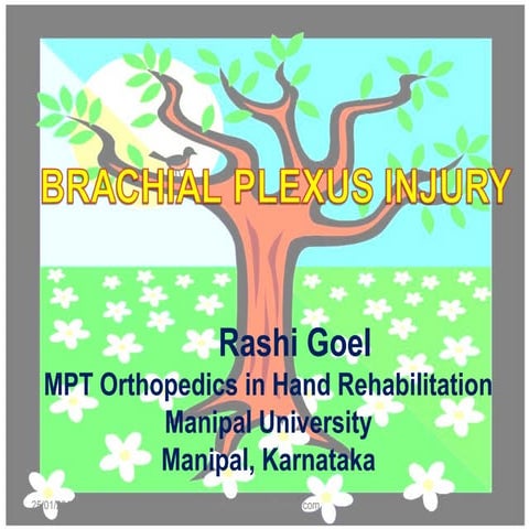 Brachial plexus injuries by Dr. Rashi Goel PT